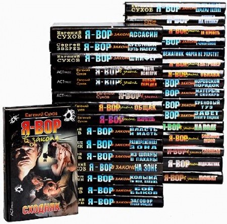 Я - вор в законе (1998-2012) FB2  91 книга
